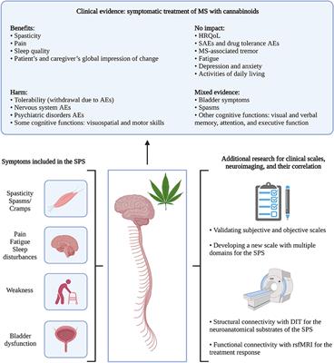 Clinical insights on the spasticity-plus syndrome in multiple sclerosis